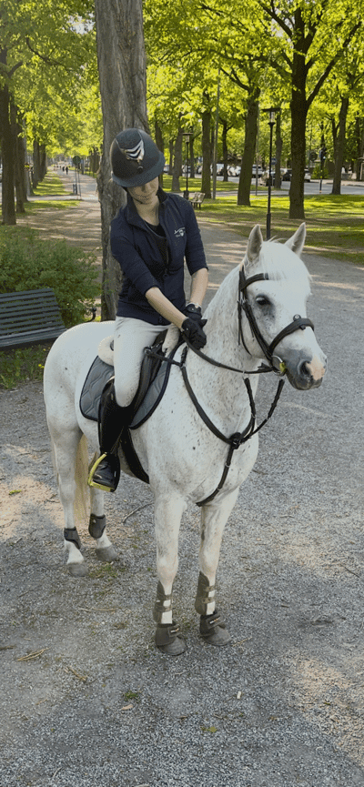 Personlig renrasig Connemara 