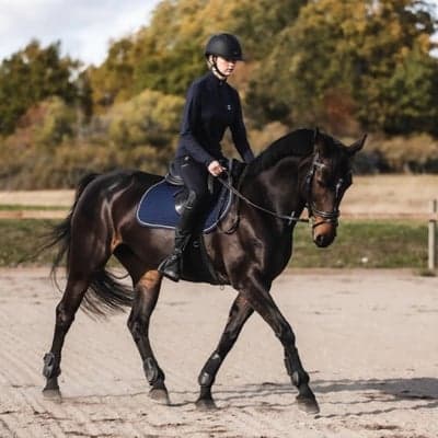 Marielunds Fair Lady